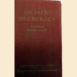 Steno, Un fatto di cronaca. Romanzo