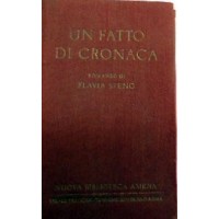 Steno, Un fatto di cronaca. Romanzo