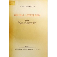 Esposito, Critica letteraria. Rassegna degli studi sulla letteratura italiana apparsi nei periodici del 1961