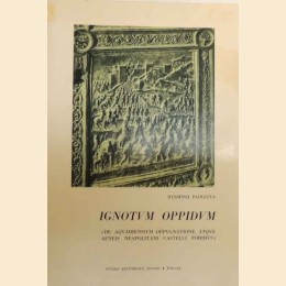 Paoletta, Ignotum Oppidum. De Acquadiensium oppugnatione atque Aeneis Neapolitani castelli foribus
