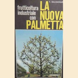 Baldassarri, Frutticoltura industriale con la nuova palmetta