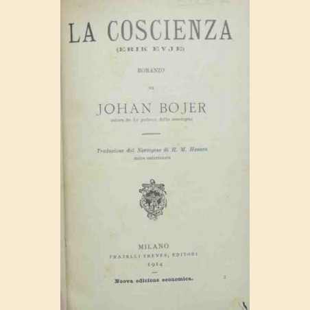 Bojer, La coscienza (Erik Evje)