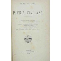 Del Lungo, Patria italiana