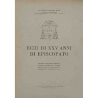 Rossi, Echi di 25 ani di episcopato