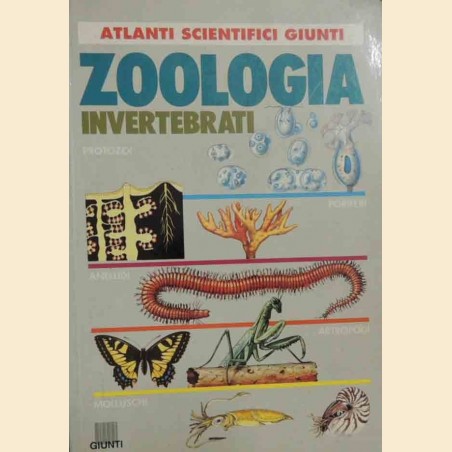 Carfì, del Centina, Haro Vera, Zoologia. Invertebrati