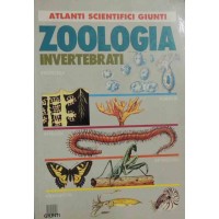 Carfì, del Centina, Haro Vera, Zoologia. Invertebrati