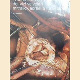 Zerbini, Trattamento chirurgico dei vizi valvolari mitralici, aortici e tricuspidali