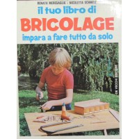 Meregaglia, Schmitz, Il tuo libro di bricolage. Impara a fare tutto da solo