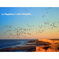 La Magdalena. L’altra Patagonia, progetto editoriale Costanzo