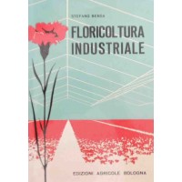 Bensa, Floricoltura industriale