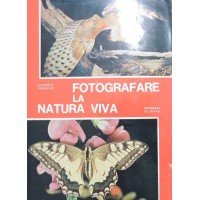 Persico, Fotografare la natura viva