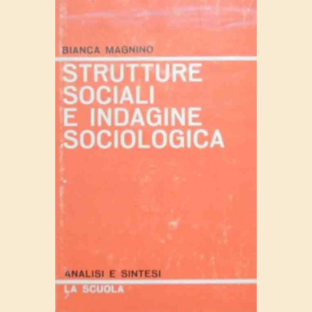 Magnino, Strutture sociali e indagine sociologica