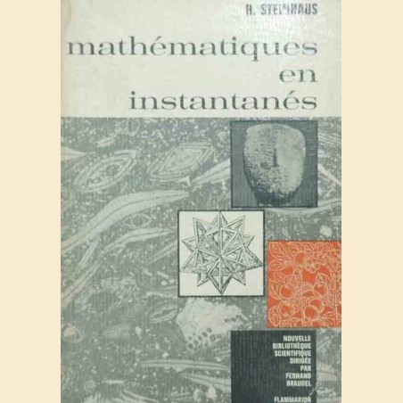 Steinhaus, Mathématiques en instantanés