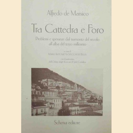 De Marsico, Tra cattedra e foro. Problemi e speranze dal tramonto del secolo ll’alba del terzo millennio