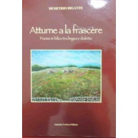 Rigante, Atturne a la frascère. Poesie in bilico tra lingua e dialetto