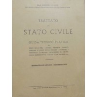 Vernizzi, Trattato di Stato Civile