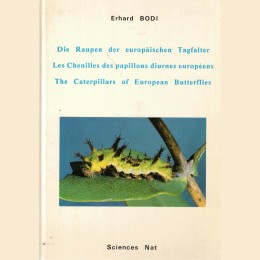 Bodi, Die raupen - Les chenilles – The caterpillars