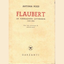 Pozzi, Flaubert. La formazione letteraria (1830-1856), premessa di A. Banfi
