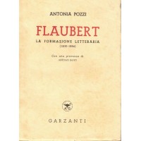Pozzi, Flaubert. La formazione letteraria (1830-1856), premessa di A. Banfi