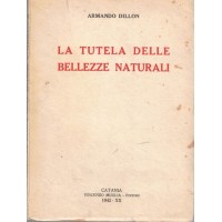 Dillon, La tutela delle bellezze naturali