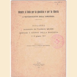 Wilson, Mentre si lotta per la giustizia e per la libertà. L’intervento dell’America