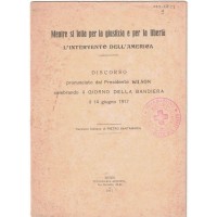 Wilson, Mentre si lotta per la giustizia e per la libertà. L’intervento dell’America