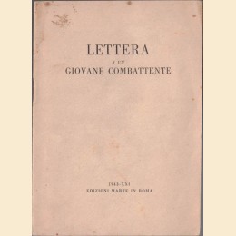 Lettera a un giovane combattente