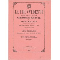 La Provvidente Società Anonima Italiana d’assicurazione dei bachi da seta e banca dei valori locativi, Programma