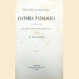Schron, Principii elementari di anatomia patologica