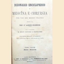 Eulenburg, Dizionario enciclopedico di medicina e chirurgia, voll I-XII (12 voll.)