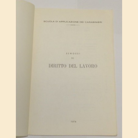 Scuola di applicazione dei carabinieri, Sinossi di diritto del lavoro 