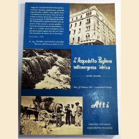 L'Acquedotto Pugliese nell'emergenza idrica. Lavori della tavola rotonda, a cura di Cracas